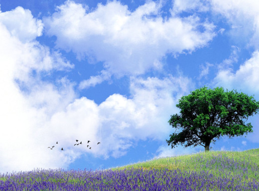 24158 (a): :1040x768